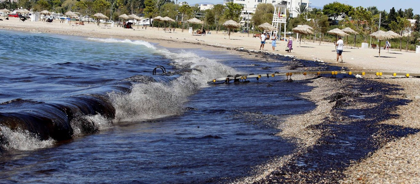 Ενθαρρυντικά τα ευρήματα ελέγχων σε οστρακοειδή από το Σαρωνικό